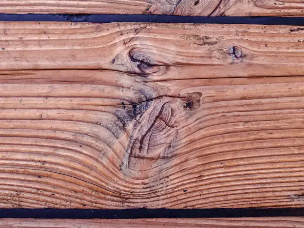 Defects in Timber: Types and Prevention - Tree To Timber