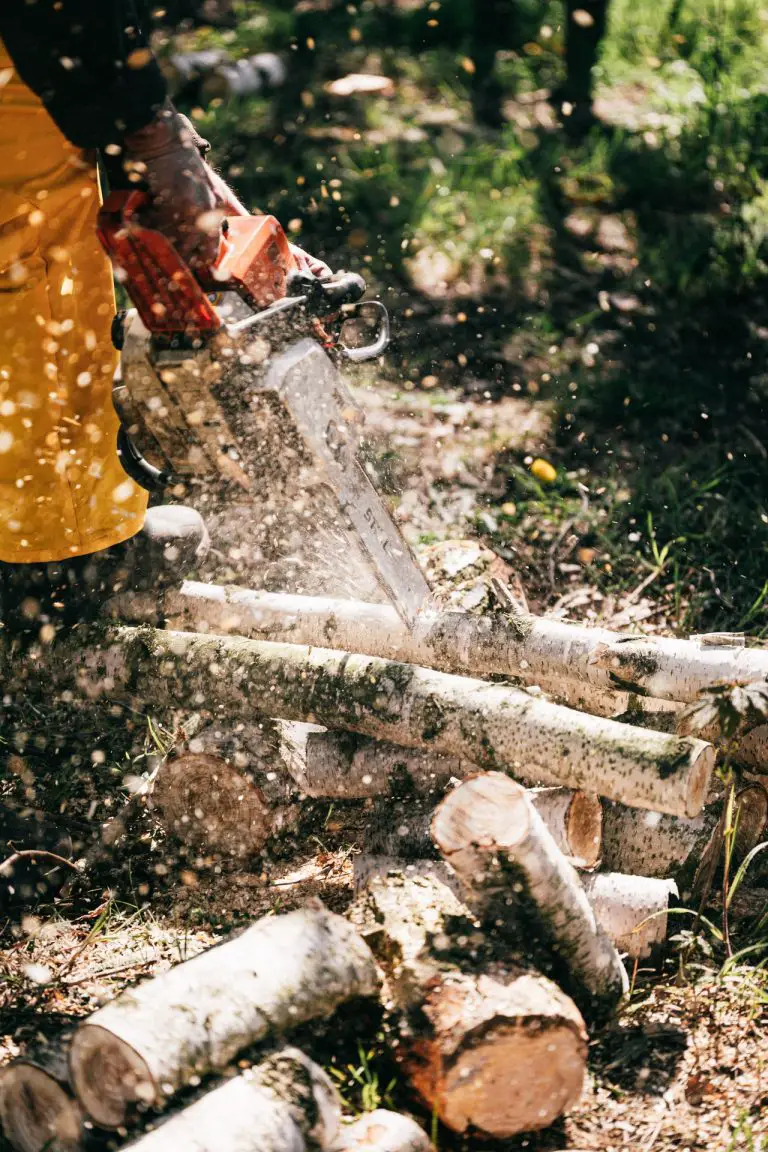 7 Essential Equipment for Felling Trees - Tree To Timber