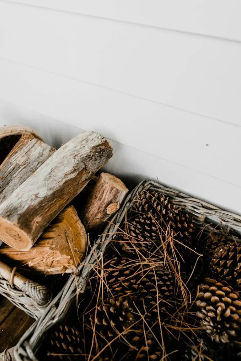 Wood Is Dry Enough To Burn - Tree To Timber