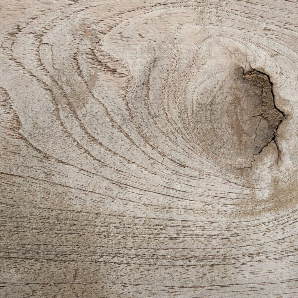 Wood Grain Patterns - Tree To Timber