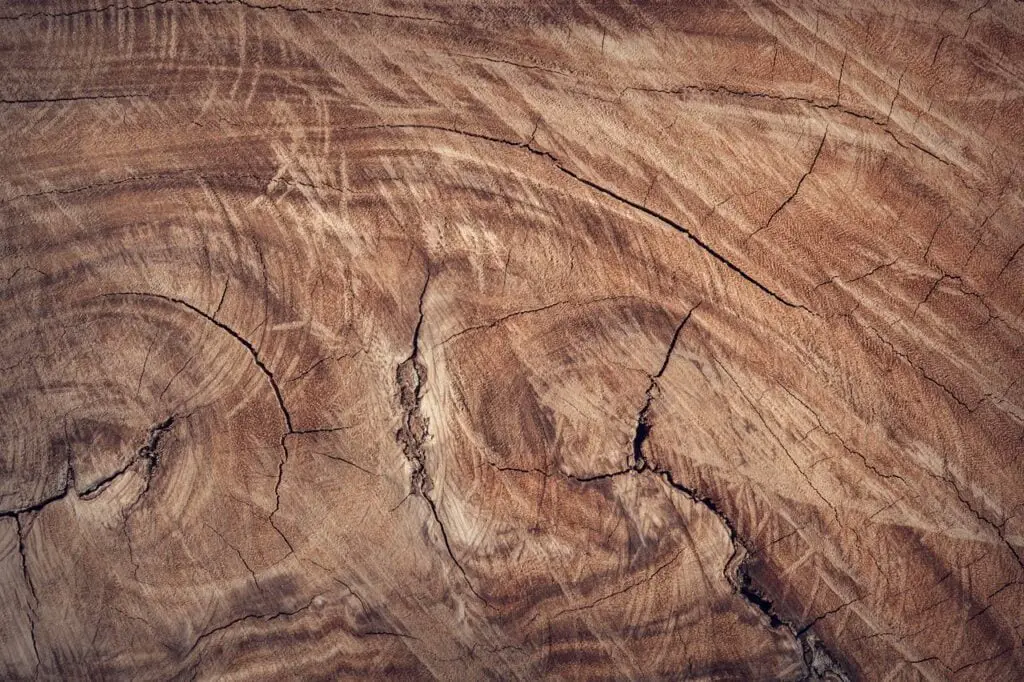 Different Types of Wood Grain - Tree To Timber