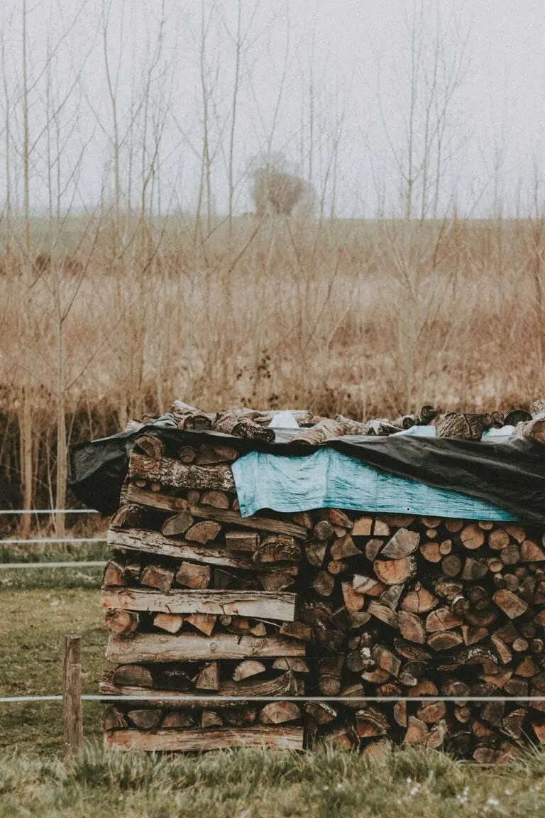 Where to Stack Firewood - Tree To Timber