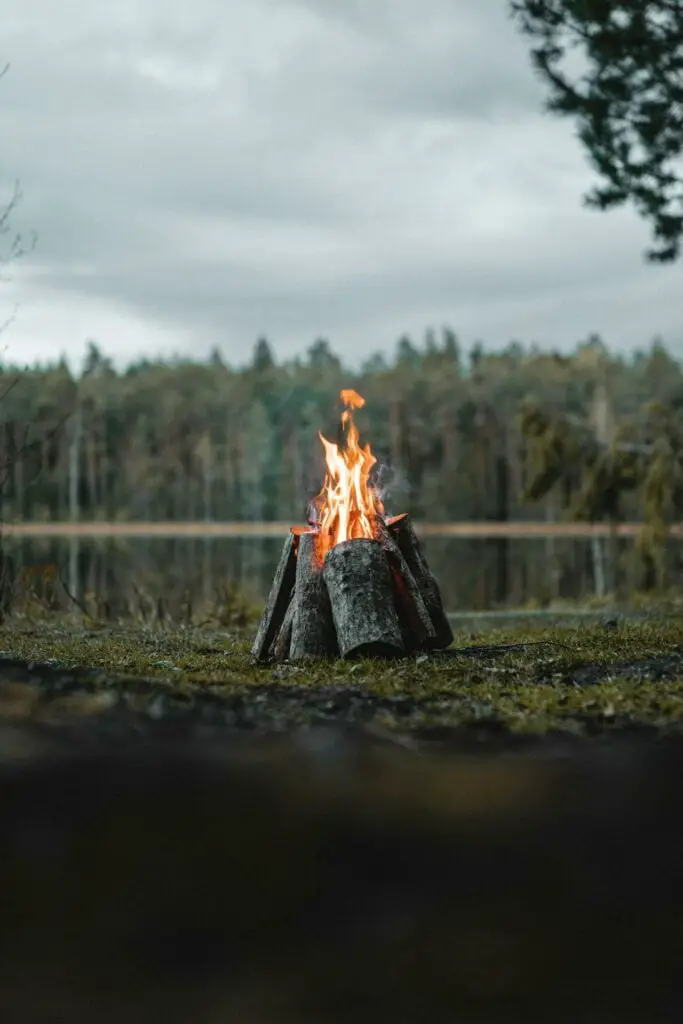 Fire Treatment For Wood - Tree To Timber