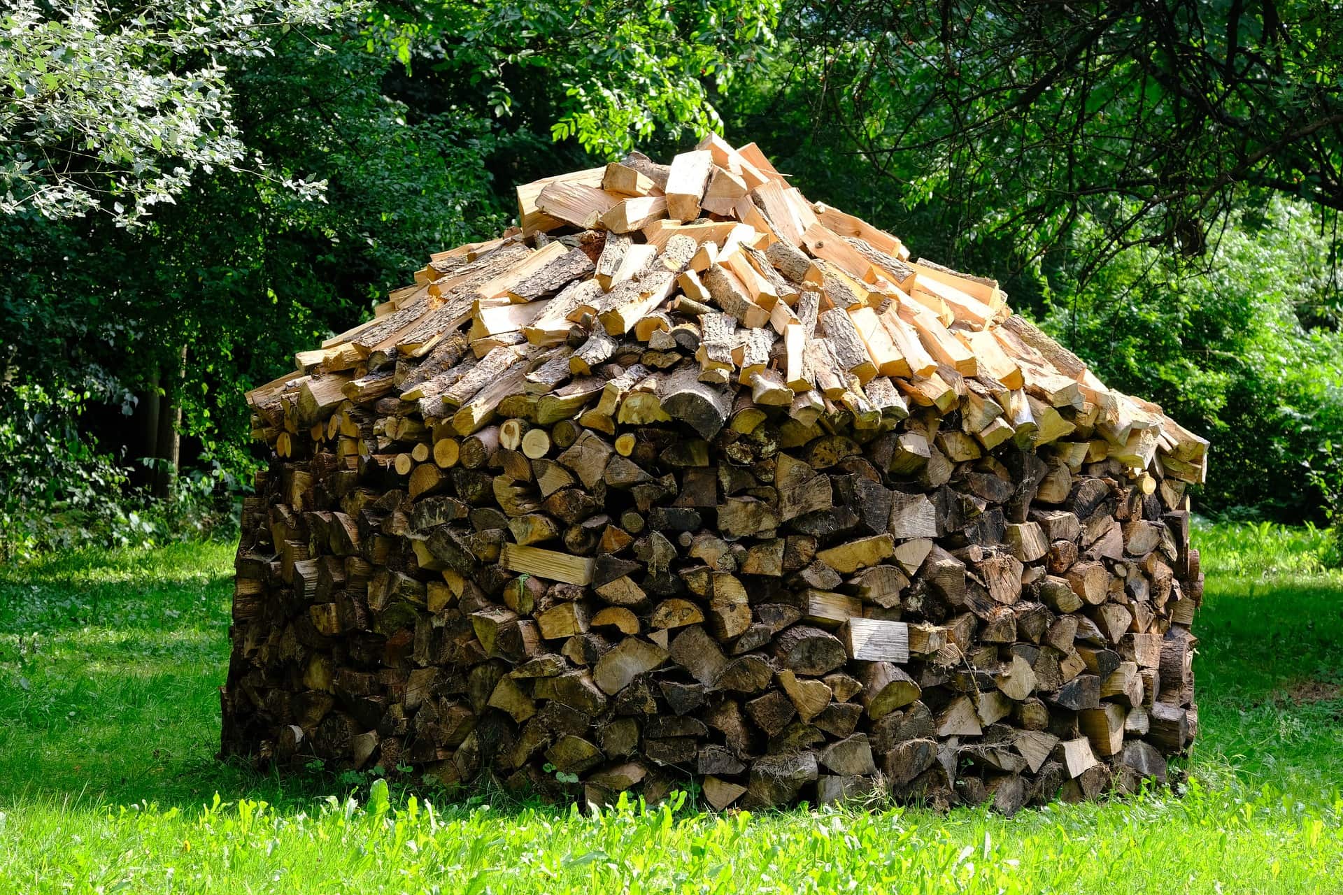 How Much Does It Cost to KilnDry Wood? Tree To Timber